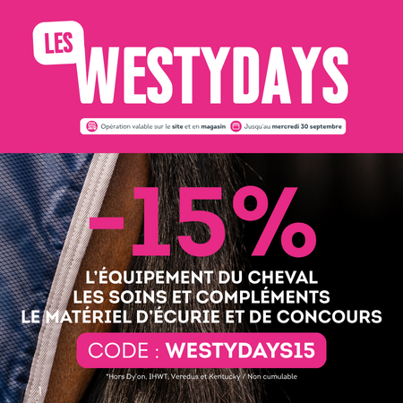 MobFR Westy Days